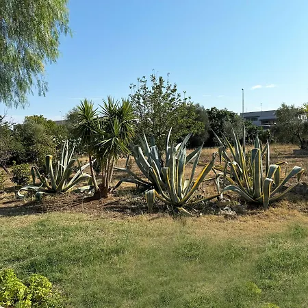 Apartman Il Sentiero