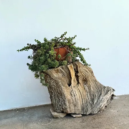 Апартаменты Il Sentiero Бари