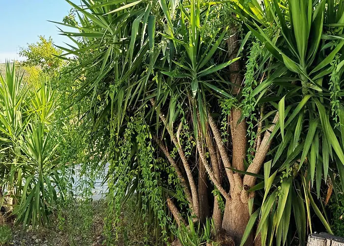 Il Sentiero Appartement Bari