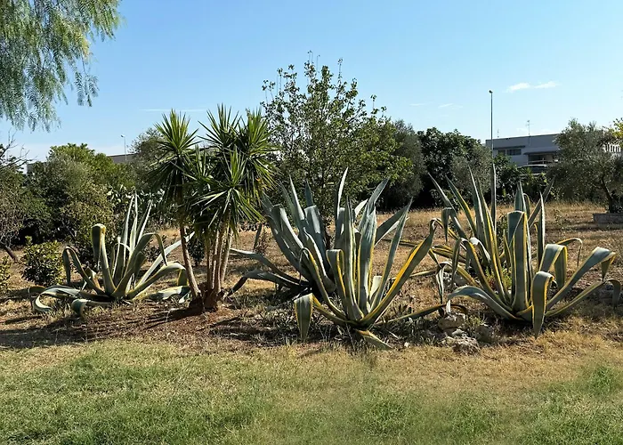 Апартаменты Il Sentiero