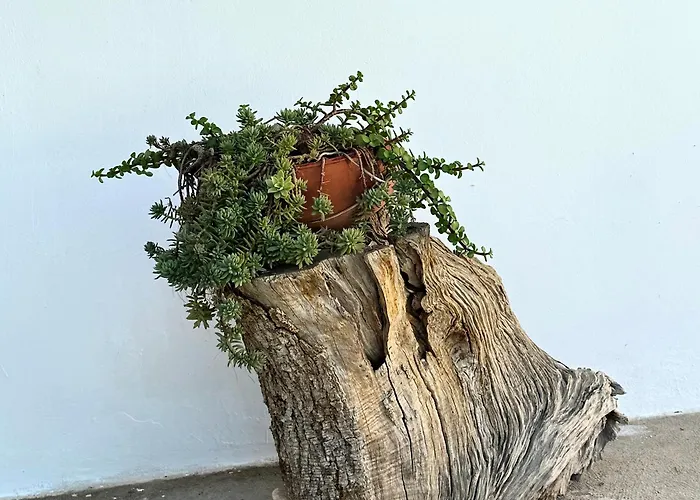 Appartement Il Sentiero Bari