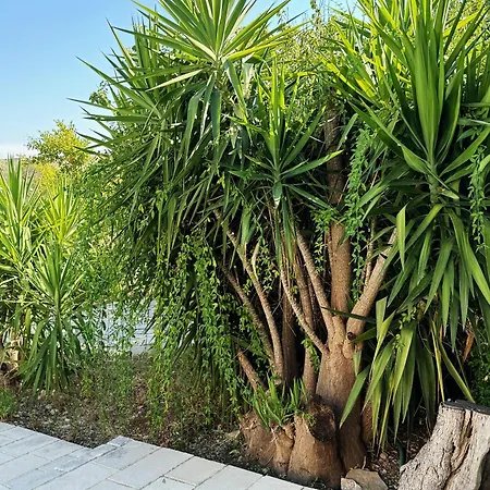 Il Sentiero アパート バーリ